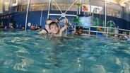 The Rec Complex of Fairview Heights - 1 Family Annual Membership + 3 Swim Lesson Sessions (Each session 6-8 weeks)